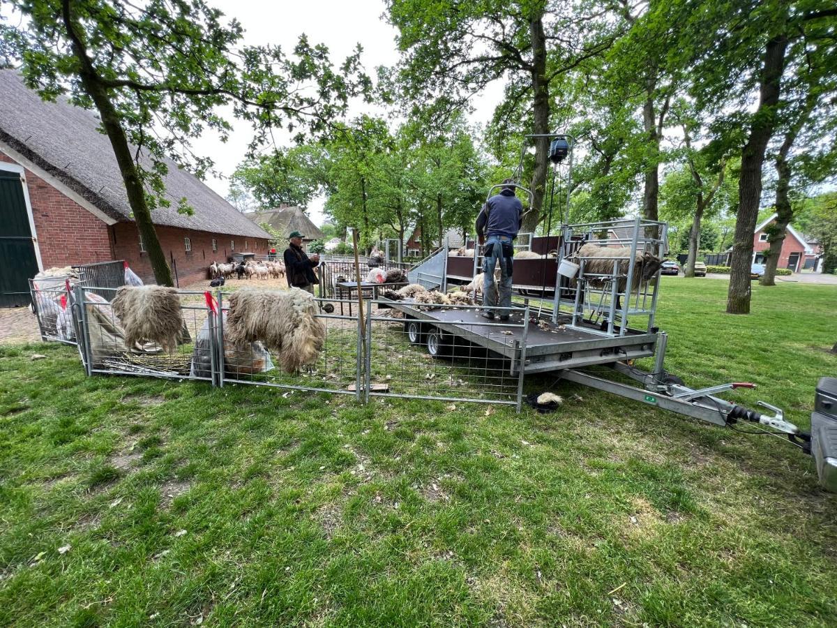 Willa 'T Bosrandje Odoorn Zewnętrze zdjęcie